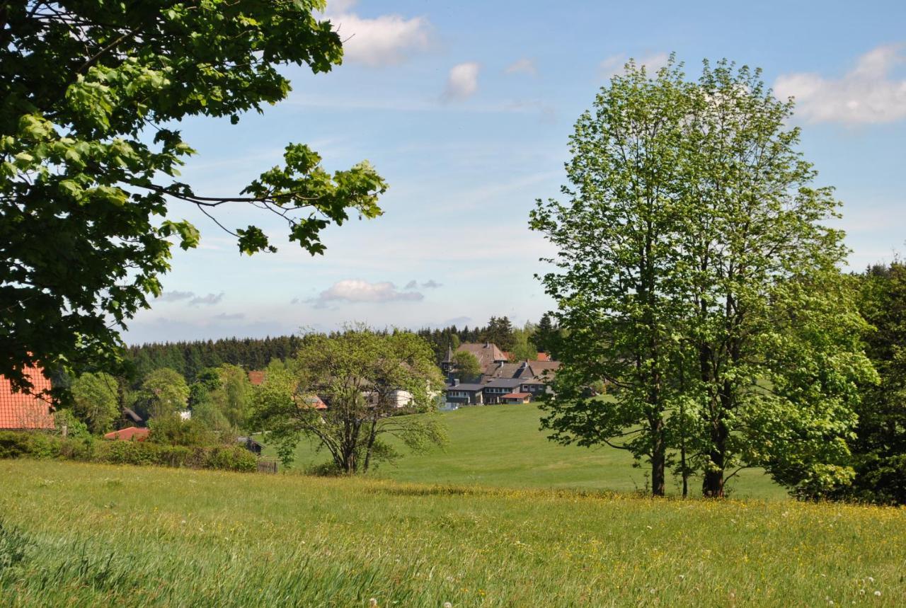 Апартаменты Harz-Rose Браунлаге Экстерьер фото